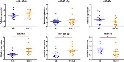 Circulating miRNAs in Serum as Biomarkers for Early Diagnosis of Non-small Cell Lung Cancer